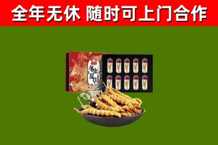 安国烟酒回收冬虫夏草礼盒.jpg